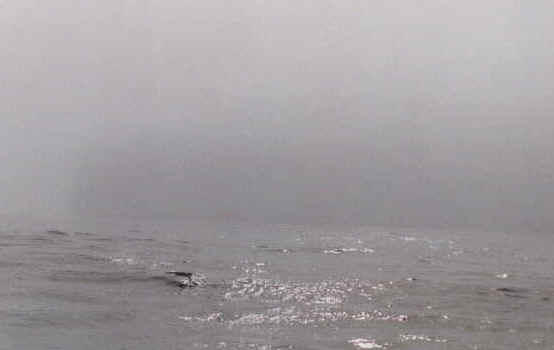 Iceberg in the fog